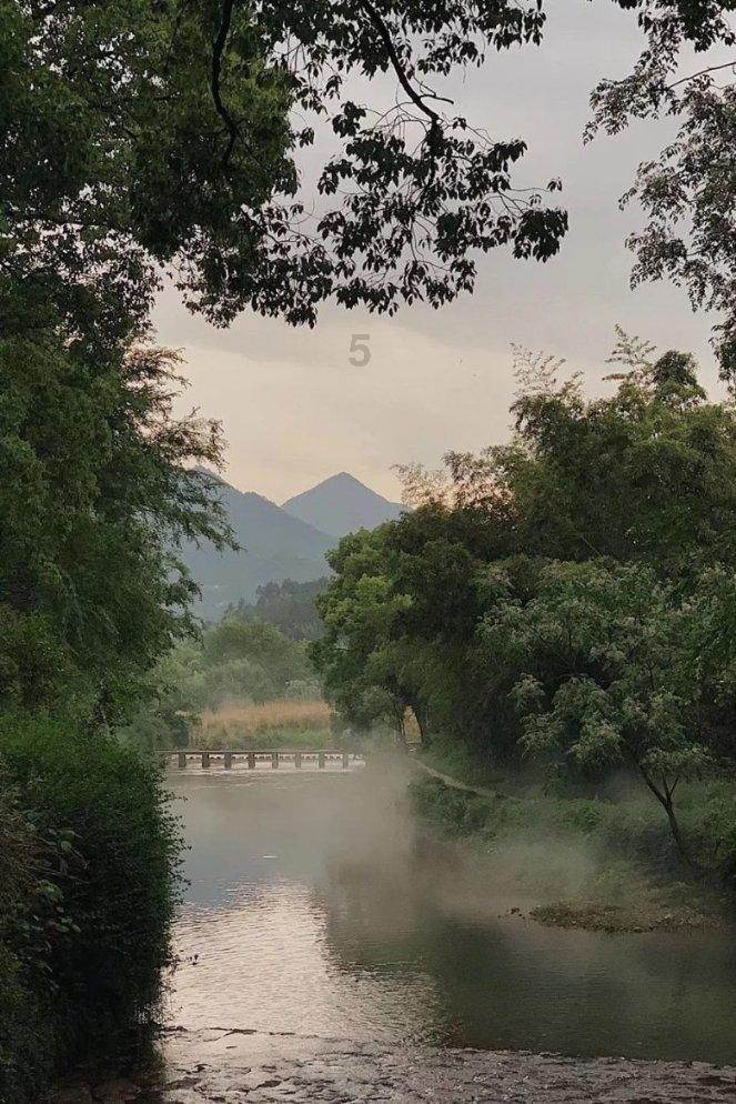 清理草坪