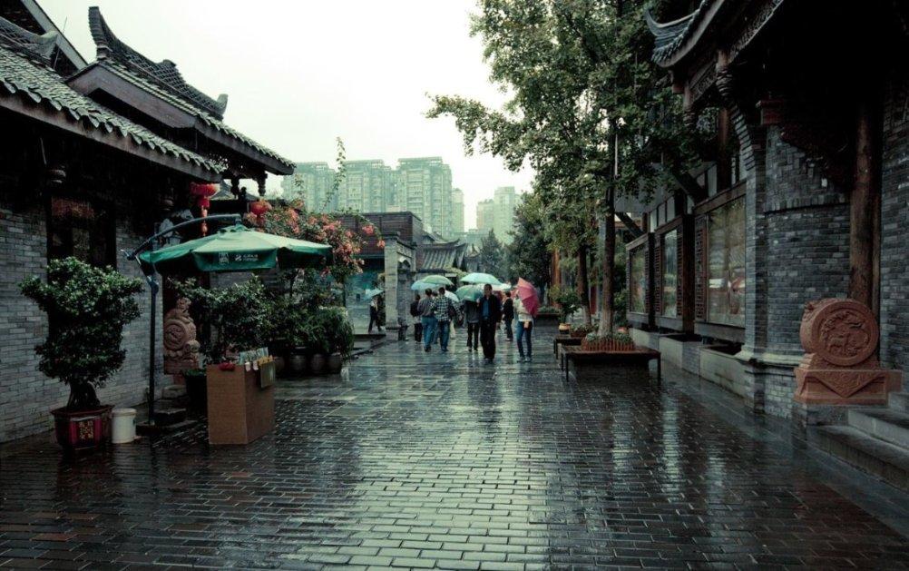 饥饿的松鼠救援
